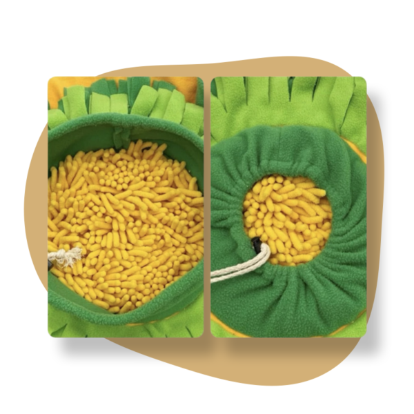 Carrot Snuffle Mat - Image 2