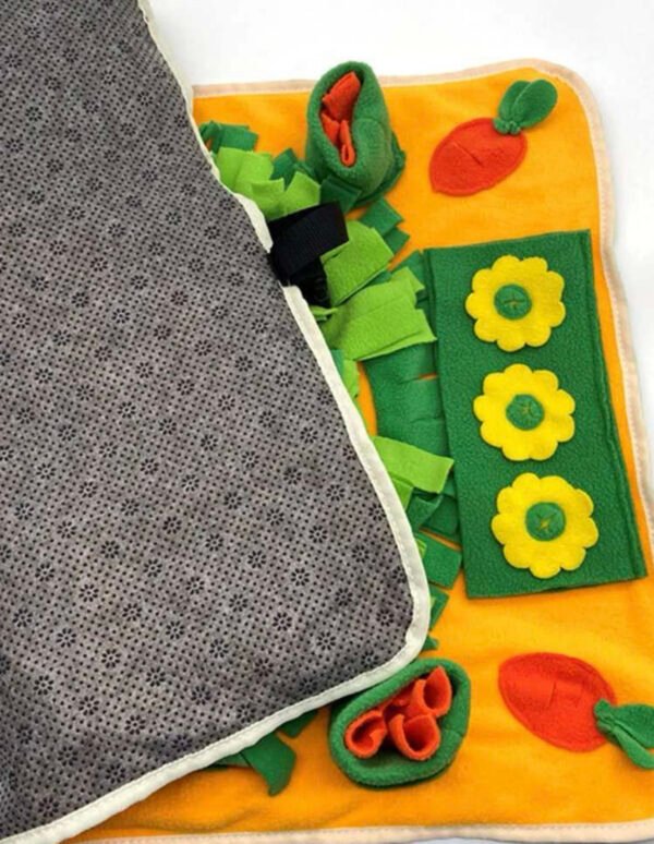 Carrot Snuffle Mat - Image 3