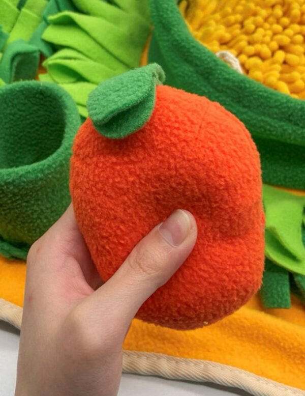 Carrot Snuffle Mat - Image 4